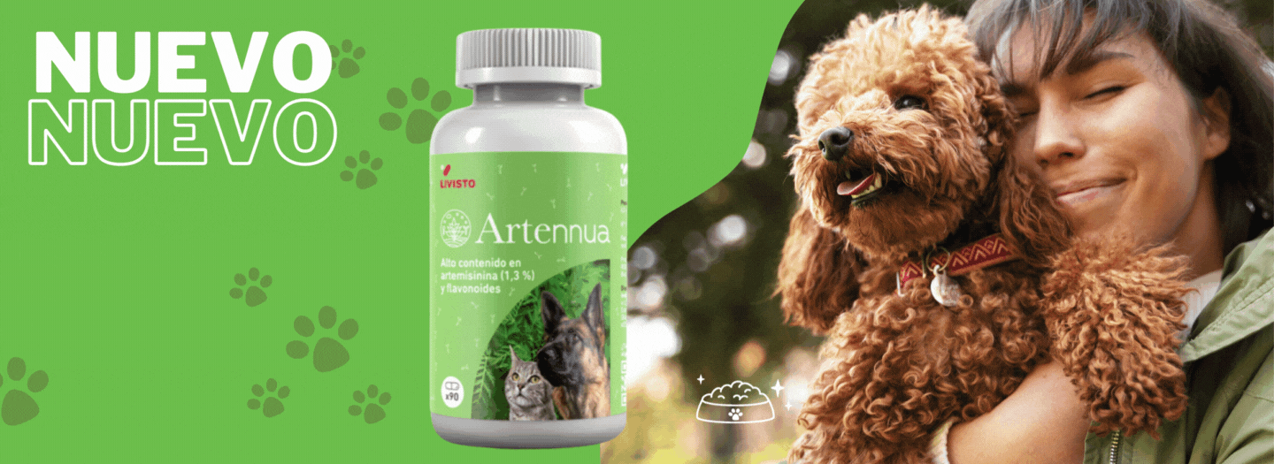 Artennua