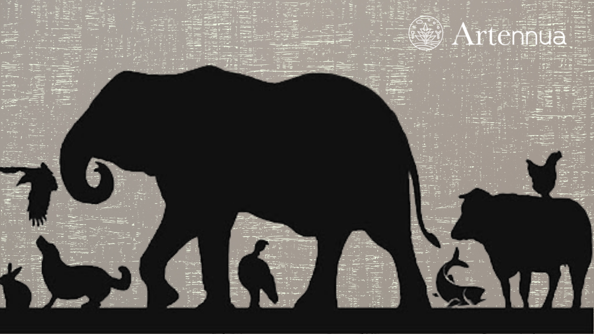 5 libertades del bienestar animal