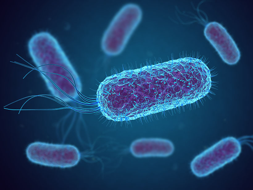 enfermedad inflamatoria intestinal artemisia annua