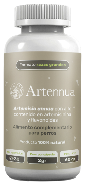 imagen producto