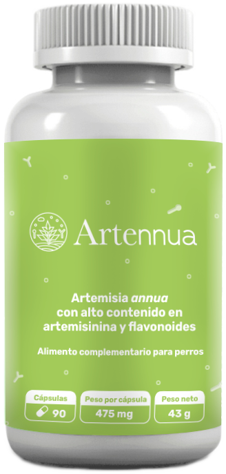 imagen producto